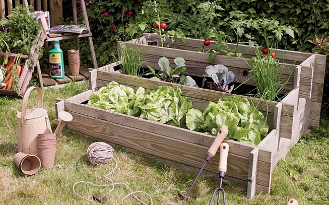 Guia Completo: Como Montar Sua Horta Vertical de Temperos em Casa