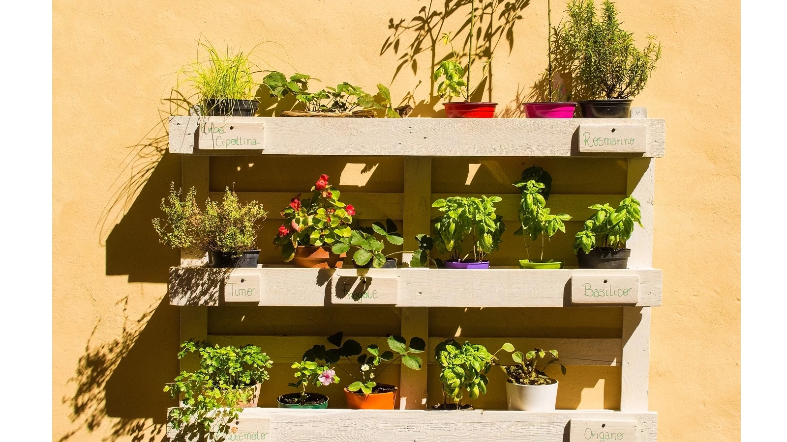 Drenagem e Rega Perfeitas: O Segredo para Ervas Saudáveis no Vaso