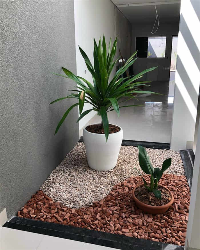 plantas ideais para jardim de pedras