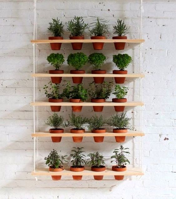 plantas para jardim vertical de sombra