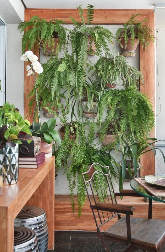 plantas para jardim vertical de sombra