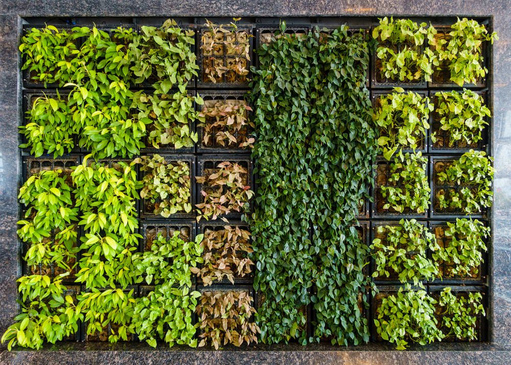 jardim suspenso na varanda