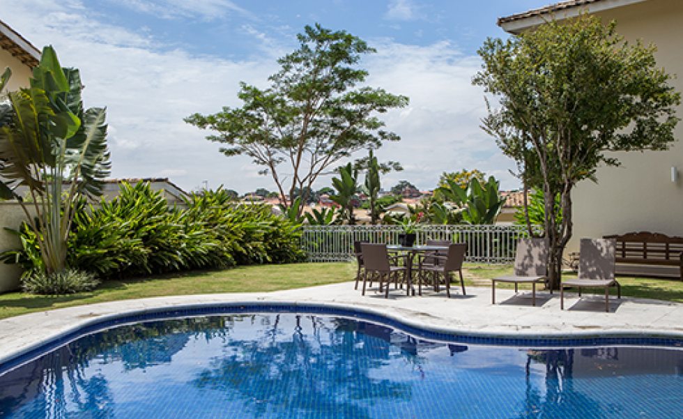 quais plantas colocar perto da piscina para criar um oásis tropical