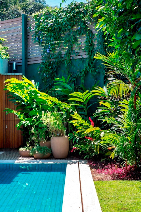 ideias de paisagismo tropical para jardins pequenos com piscina