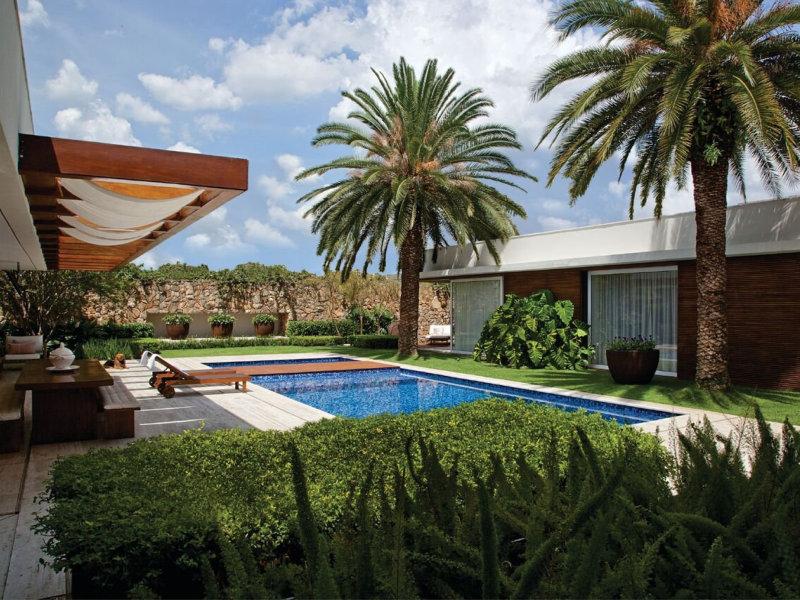 plantas tropicais para piscina com pouca manutenção