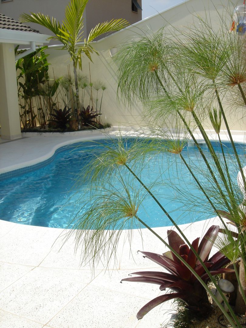 quais plantas colocar perto da piscina para criar um oásis tropical
