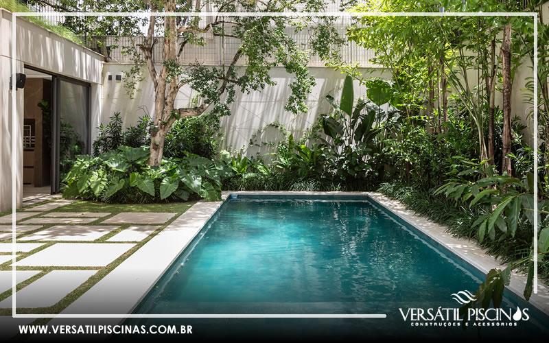 quais plantas colocar perto da piscina para criar um oásis tropical