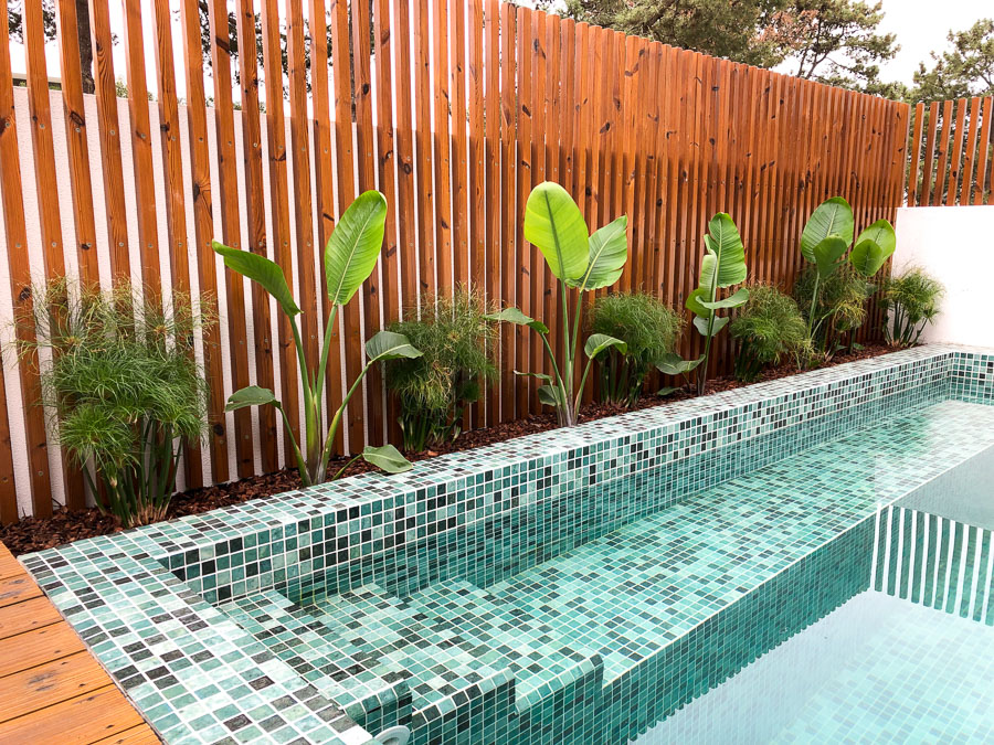 quais plantas colocar perto da piscina para criar um oásis tropical