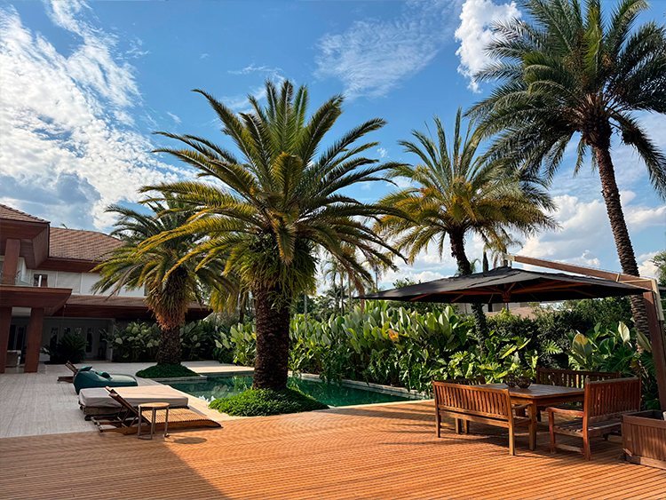 plantas tropicais para piscina com pouca manutenção