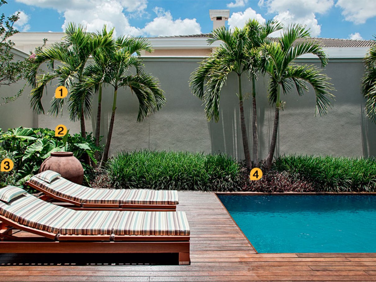 jardim tropical piscina