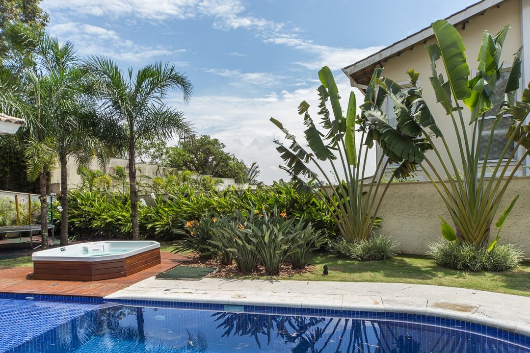 quais plantas colocar perto da piscina para criar um oásis tropical