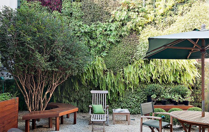 5 plantas ideais para jardins verticais em ambientes internos