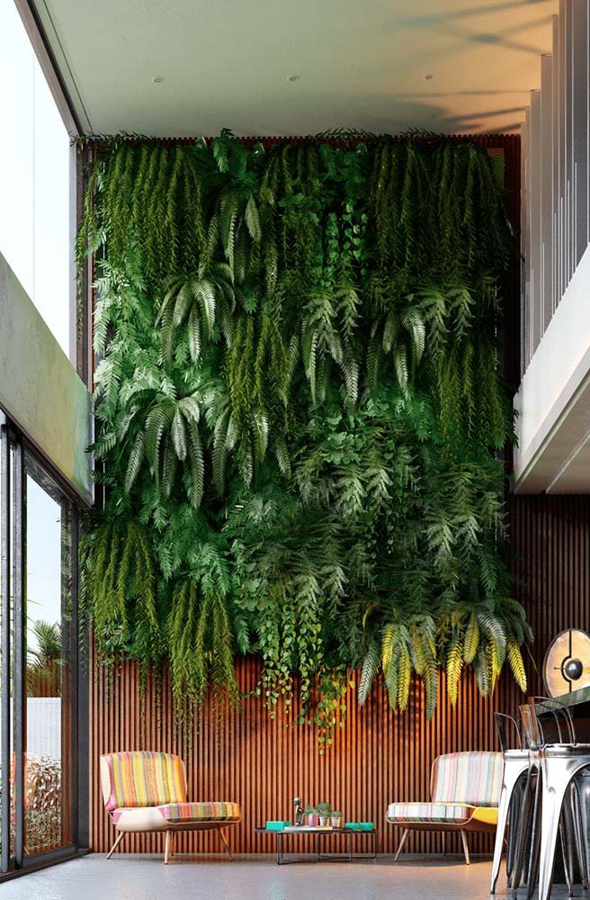 5 plantas ideais para jardins verticais em ambientes internos