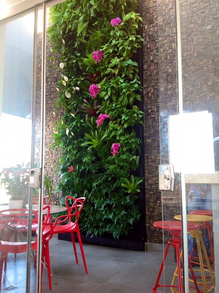 Como automatizar a irrigação do seu jardim vertical