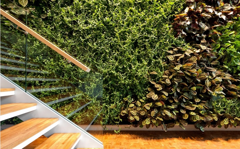 Guia completo de manutenção para jardins verticais em pé-direito duplo