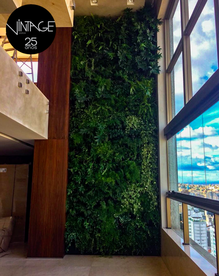 5 plantas ideais para jardins verticais em ambientes internos