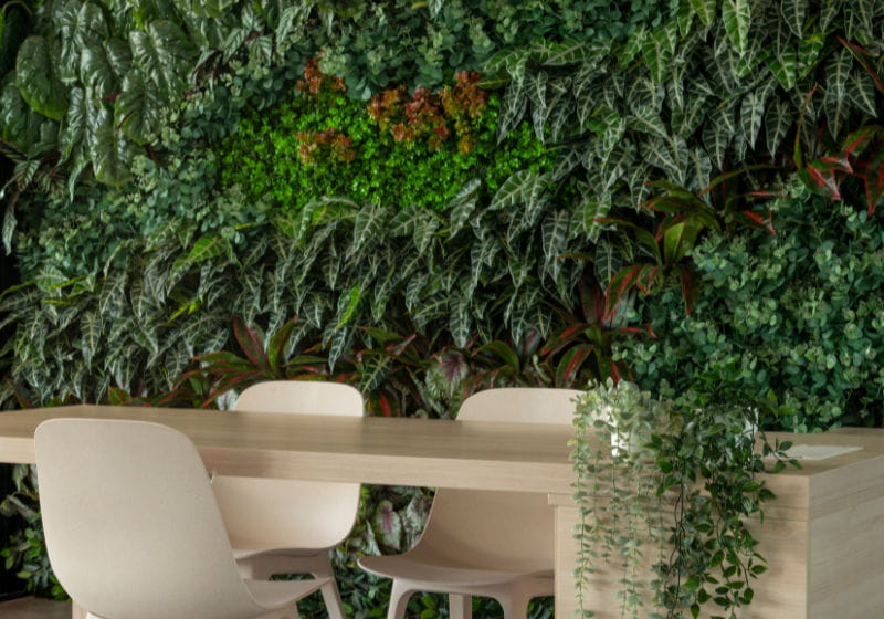 Como automatizar a irrigação do seu jardim vertical