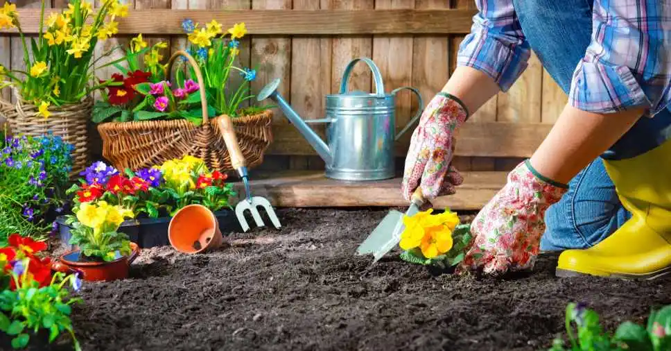 jardinagem como terapia para ansiedade