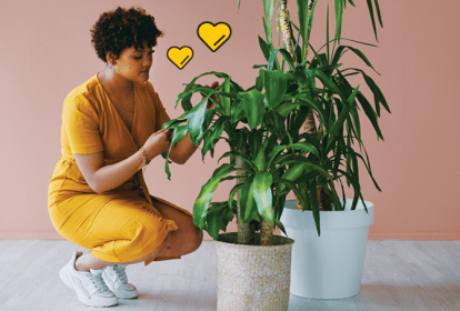 como começar horta em apartamento