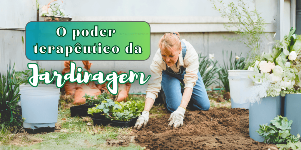 ecoterapia com plantas em casa