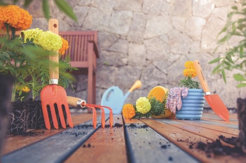 jardinagem como terapia