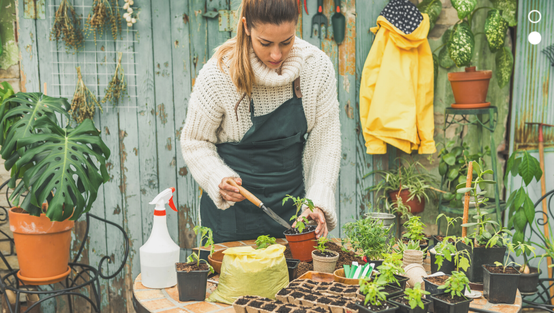 benefícios da jardinagem para saúde mental