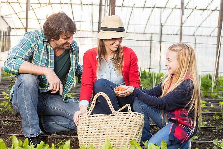 como começar horta em apartamento