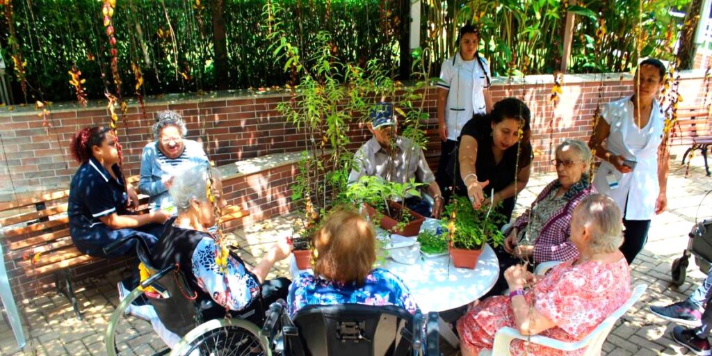 ecoterapia com plantas em casa