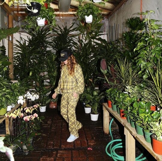 jardinagem como terapia para ansiedade