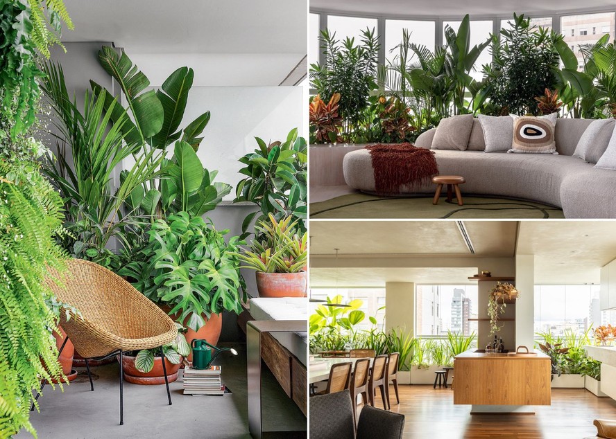 jardinagem em imóvel alugado