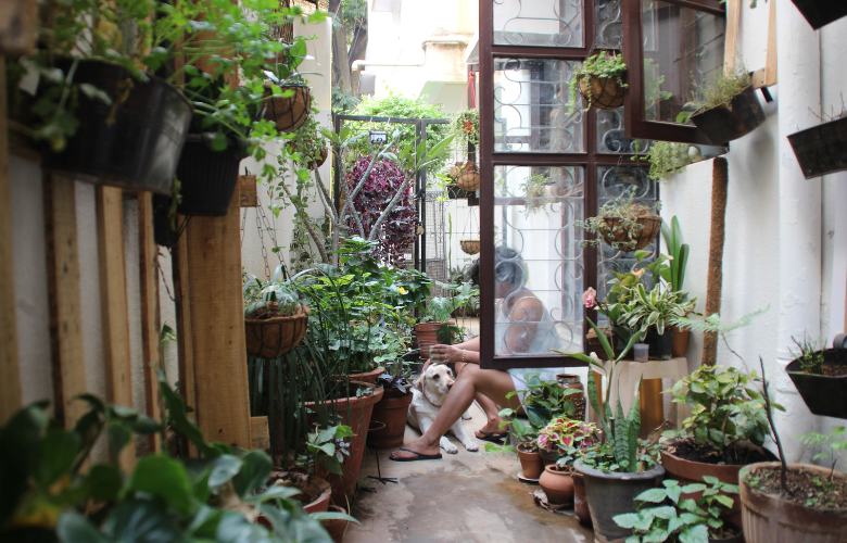 soluções para jardim em quintal pequeno