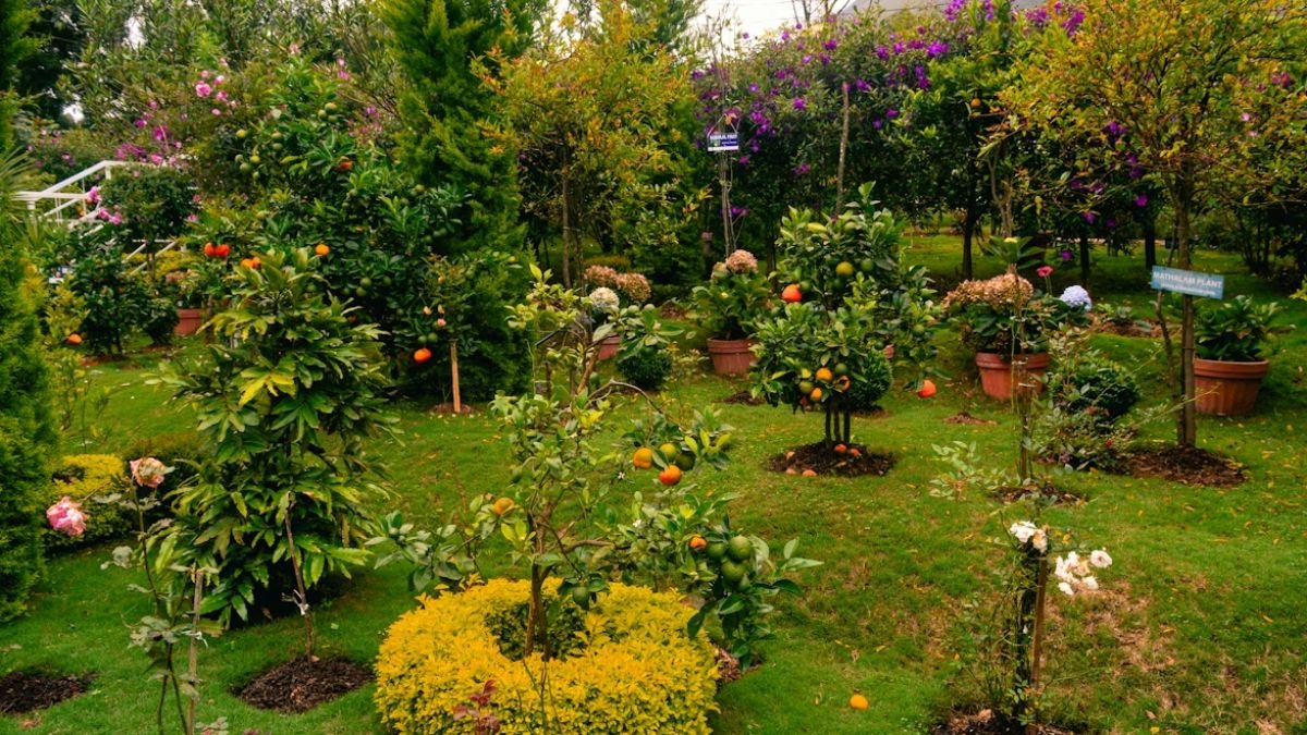 jardinagem em espacos pequenos maximizando o verde