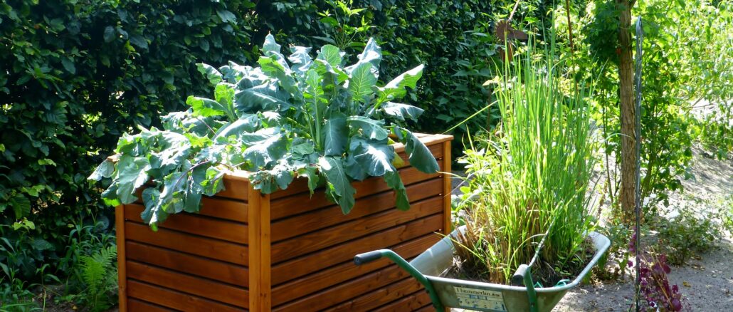 como maximizar espaço verde em apartamento