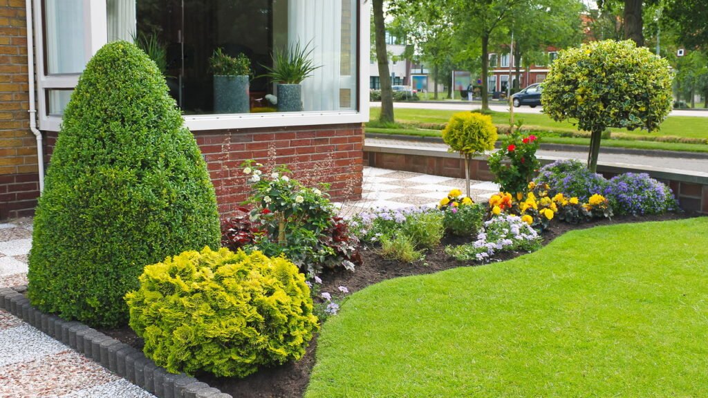 escolha de plantas para ambientes com pouca luz