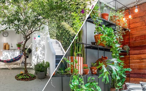 escolha de plantas para ambientes com pouca luz