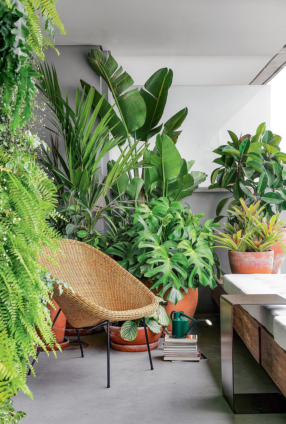 Soluções criativas para jardinagem em apartamentos sem varanda