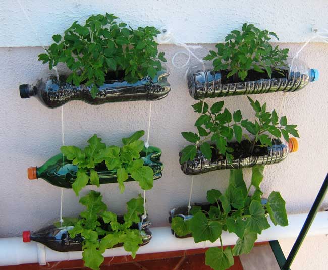 Soluções criativas para jardinagem em apartamentos sem varanda