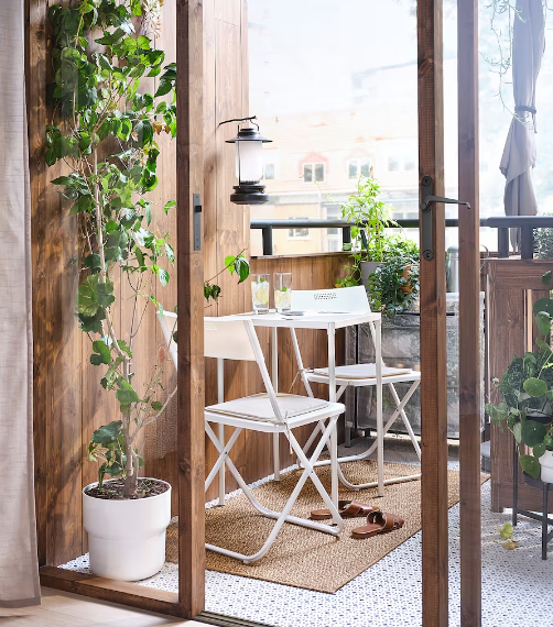 Guia completo de plantas que sobrevivem com pouca luz