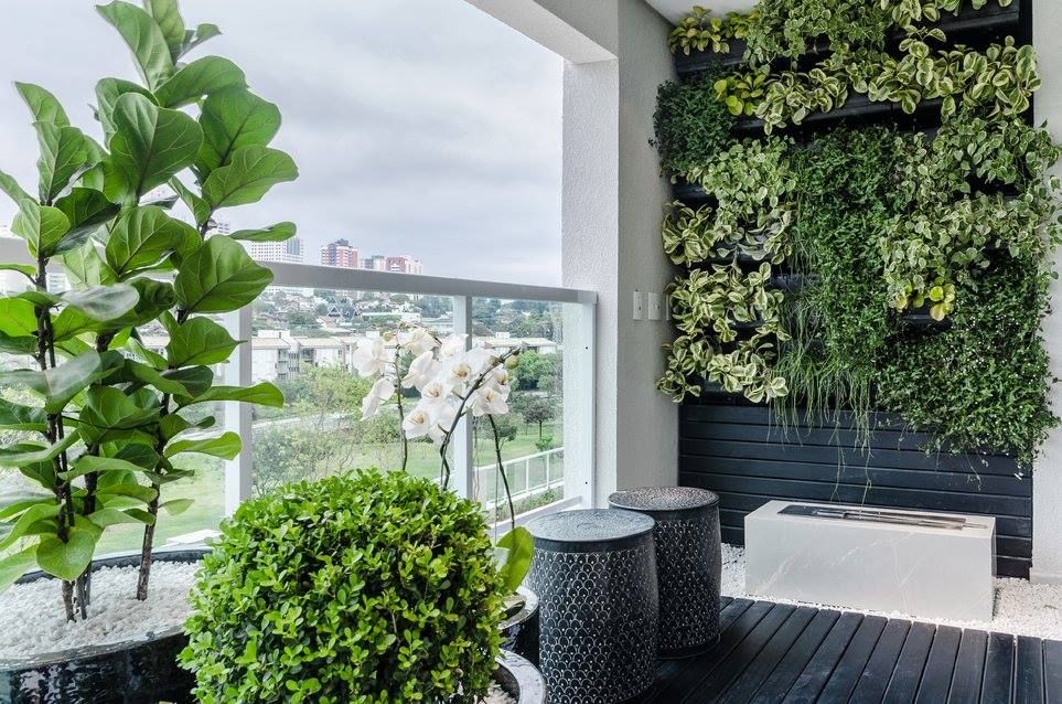 Dicas de irrigação para plantas em ambientes internos