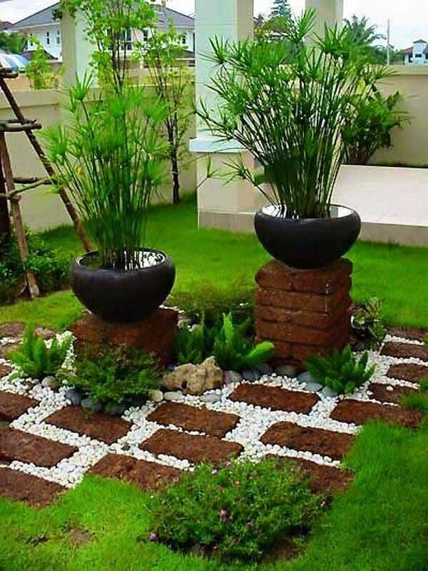 cuidados com plantas para iniciantes