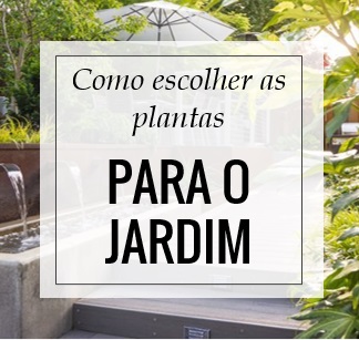 cuidados com plantas para iniciantes