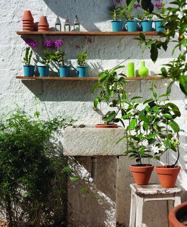 plantas de baixa manutenção para casa