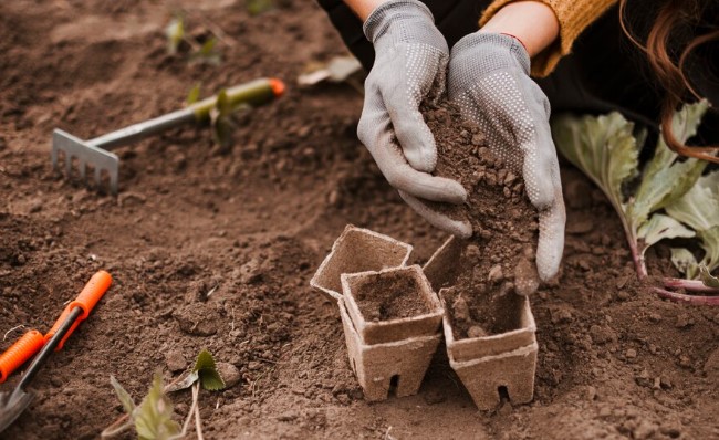 jardinagem para iniciantes como preparar o solo para o plantio