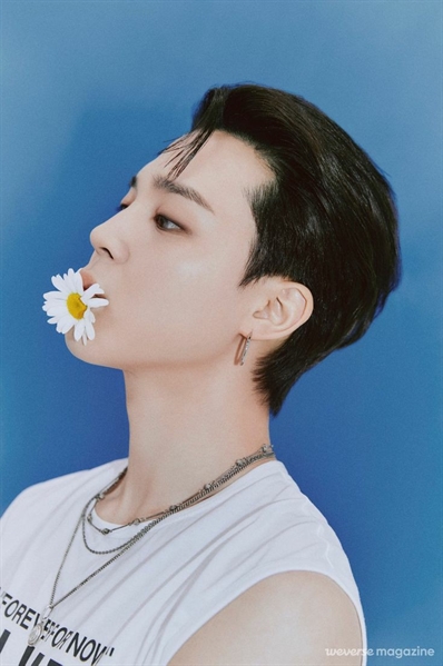 problemas cabelo preto jimin