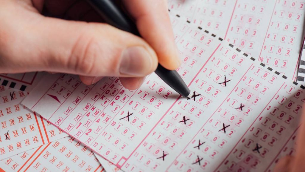 falácia do apostador loteria