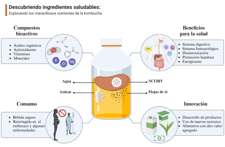 Kombucha no Supermercado: Como Escolher a Melhor Opção?