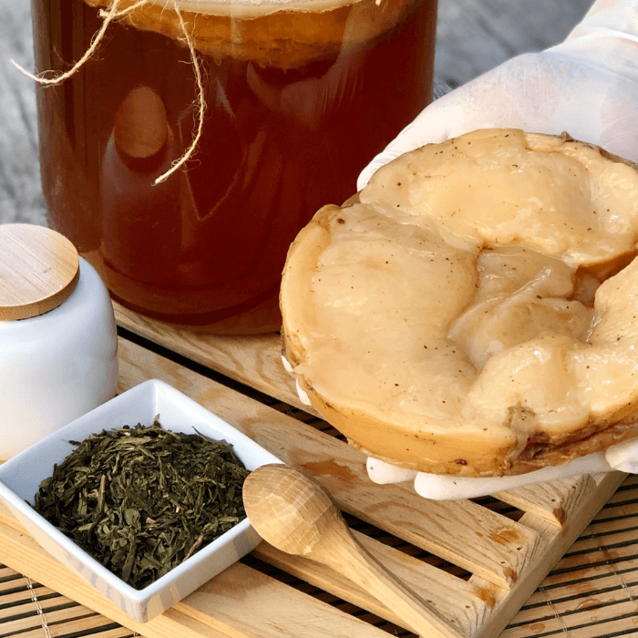 Kombucha e Diabetes: O Que a Ciência Diz Sobre o Controle de Glicose?