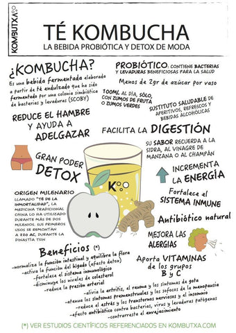 Kombucha para Imunidade: Mitos e Verdades sobre o Fortalecimento da Saúde