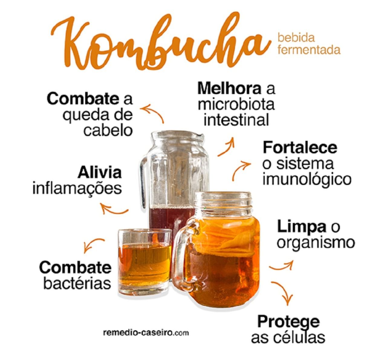 kombucha benefcios