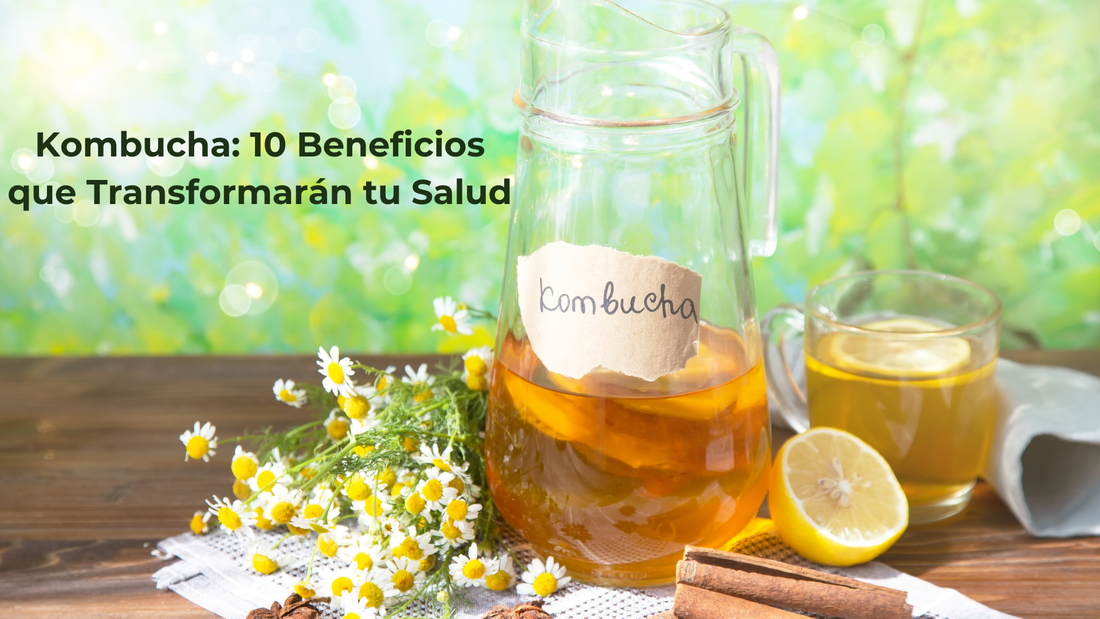 Kombucha Caseira: Guia Completo para Preparar com Segurança